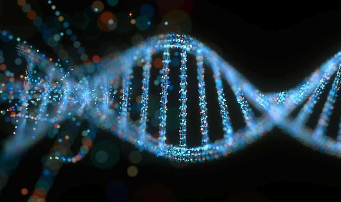 Myheritage DNA testing