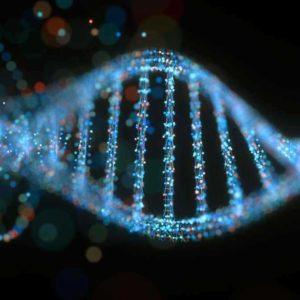 Myheritage DNA testing