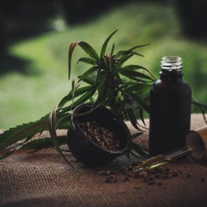 Weight Loss With CBD Oil