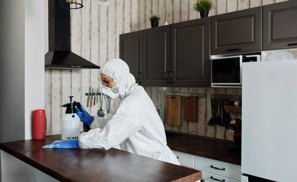 Best Disinfectants For Your Home: An In-Depth Look