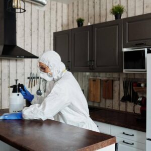 Disinfectants For Your Home