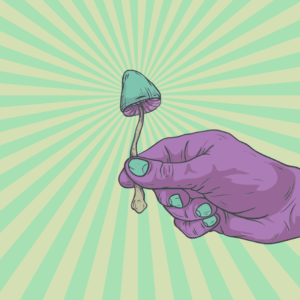 Using Medicinal Magic Mushrooms