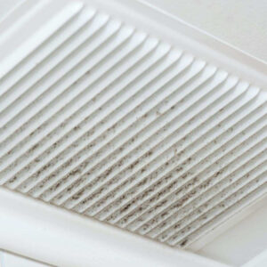 Importance Of Indoor Air Quality