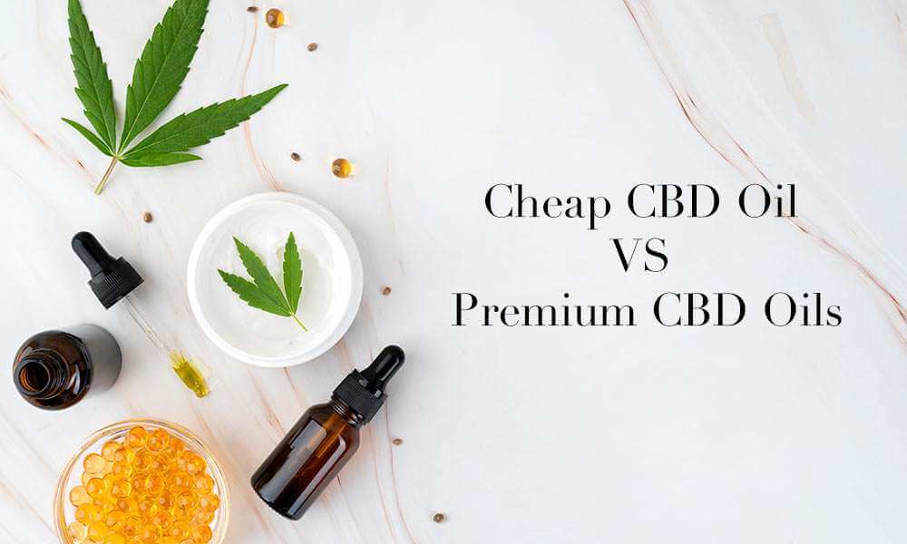 Cheap VS Premium CBD Oils: Key Differences Explained