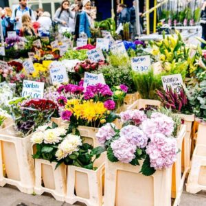 Finding Top Florist In Singapore
