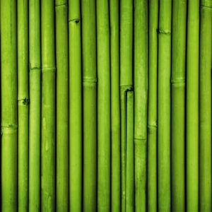 Consider Installing Bamboo Fencing