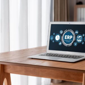 Custom ERP Software Integration