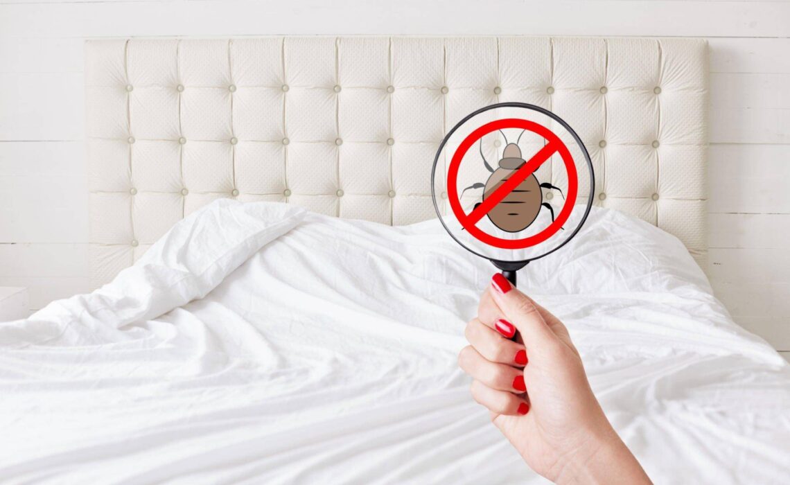 How To Keep Bed Bugs Out Of Your Home