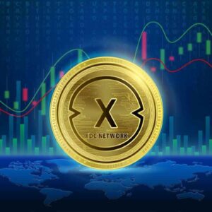 Potential Of XDC Network