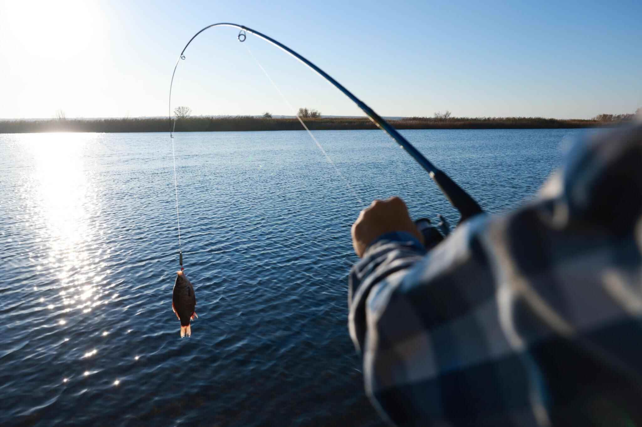 Exploring Gear And Techniques For Enhanced Fishing Experiences Exploring Gear And Techniques For Enhanced Fishing Experiences