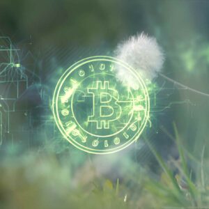 Bitcoin For Sustainable Agriculture