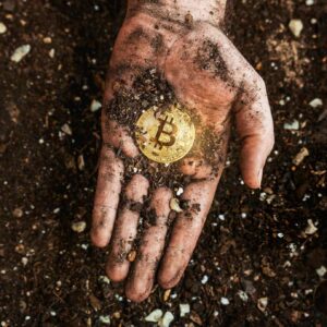 Bitcoin Mining’s Future