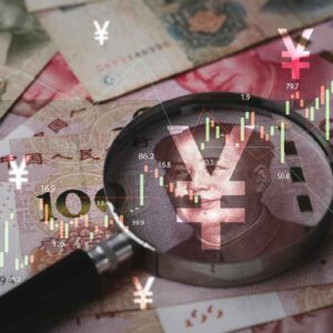 Digital Yuan Investments