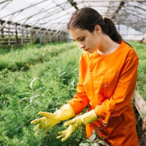 Farming Practices For Conservation 300x300