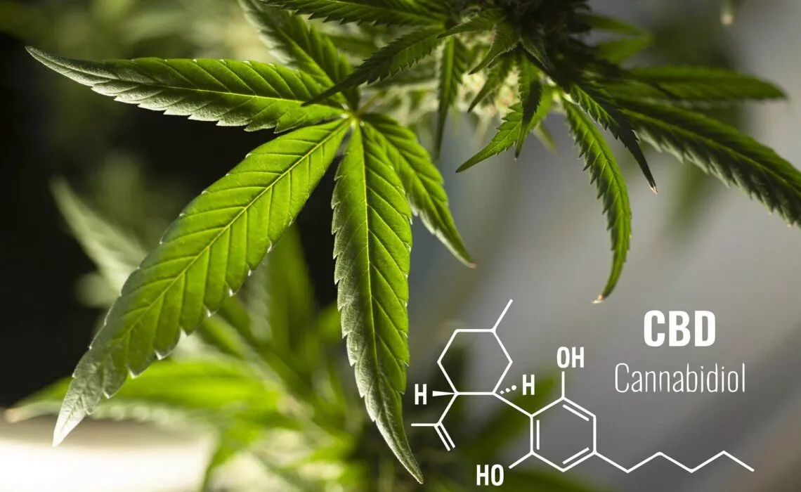 Improve Your Mental Health