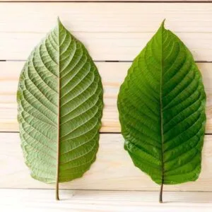 Kratom Extract
