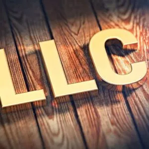 LLC Wyoming Owner’s Guide