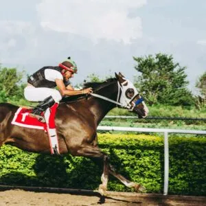 Requirements To Become A Jockey