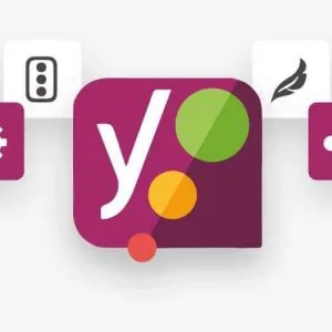 Know About The Best WordPress SEO Plugin