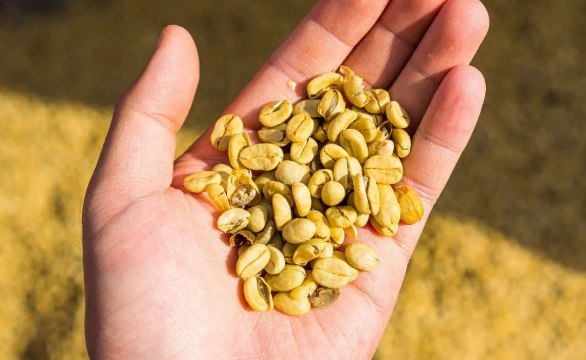 Green Coffee Beans