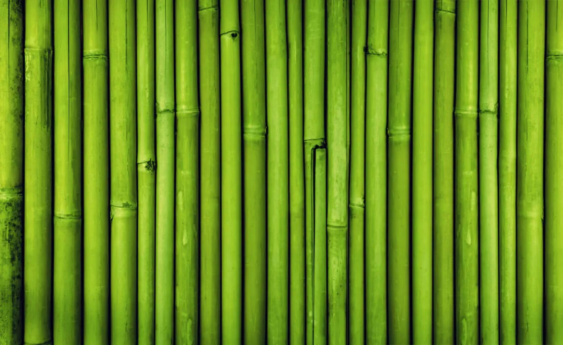 Consider Installing Bamboo Fencing