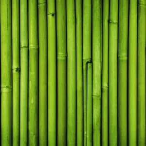 Consider Installing Bamboo Fencing