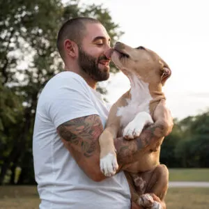 Tips For First-time Dog Owners