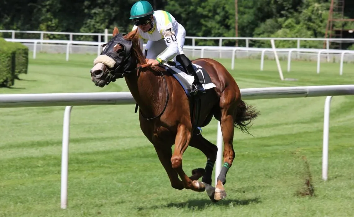 Grade I Runhappy Travers Stakes