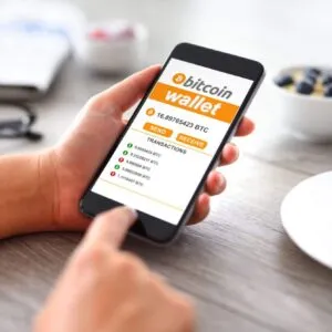 Overview Of Bitcoin Wallet