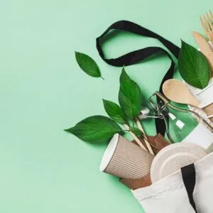 Benefits Of Sustainable Living