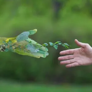 Make Your Business More Sustainable