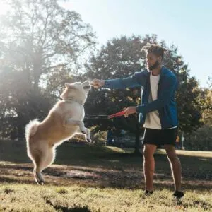 Exercise With Your Dog