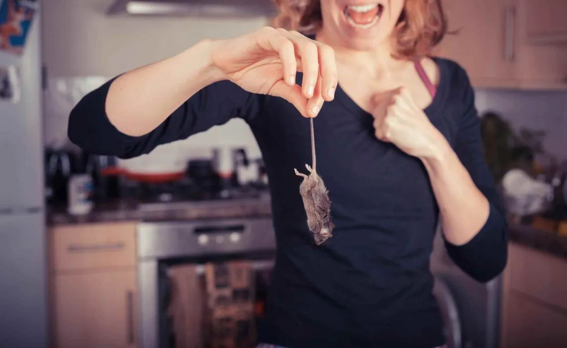 Identify And Control Common Household Pests