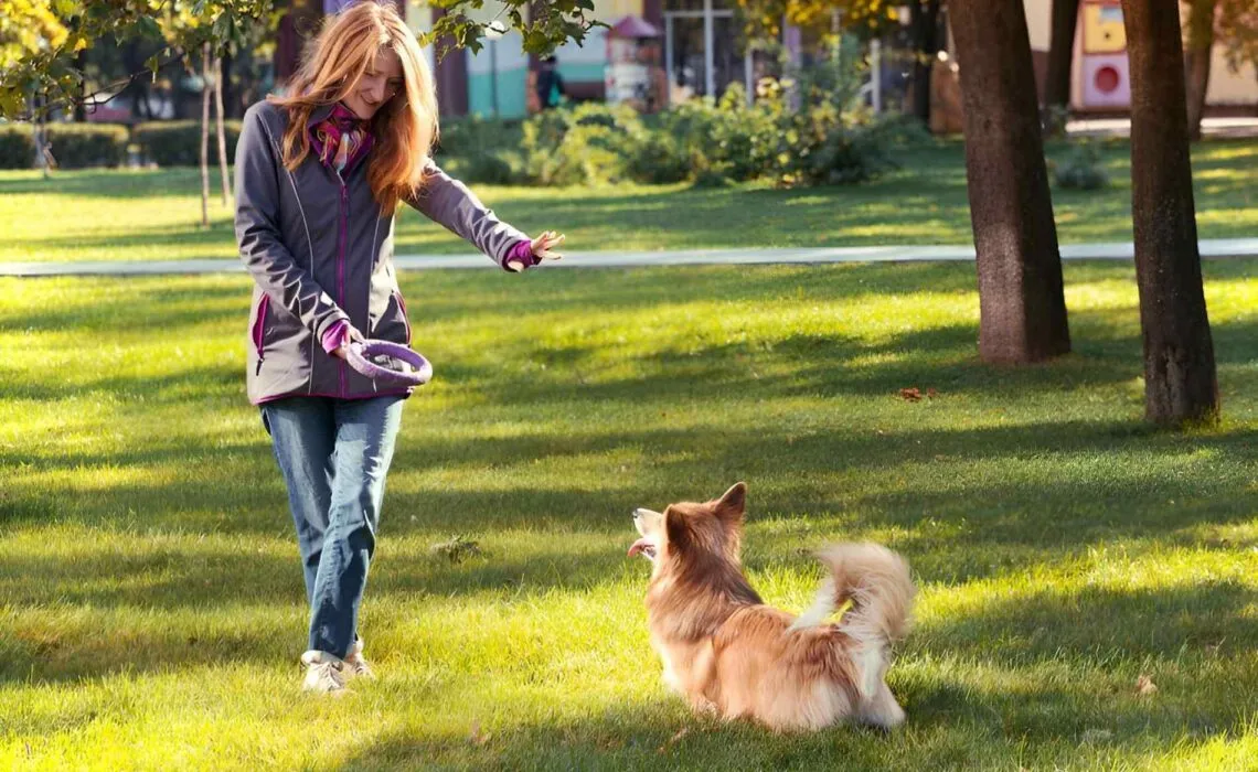 Professional Puppy Trainer