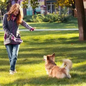 Professional Puppy Trainer