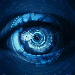 Web Surveillance Program