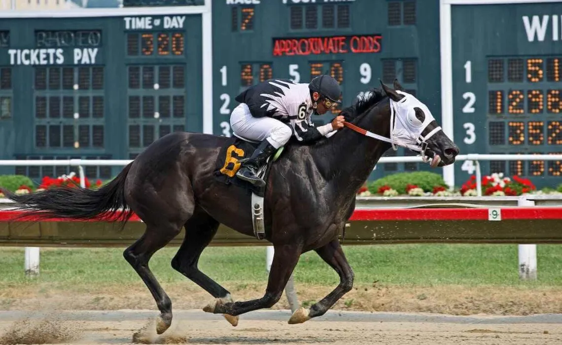 Breeders Cup For The First Time