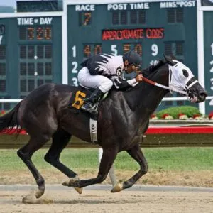 Breeders Cup For The First Time