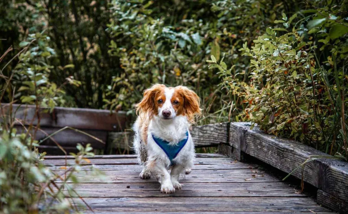 Guide To Growth Rate Charts