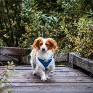 Guide To Growth Rate Charts