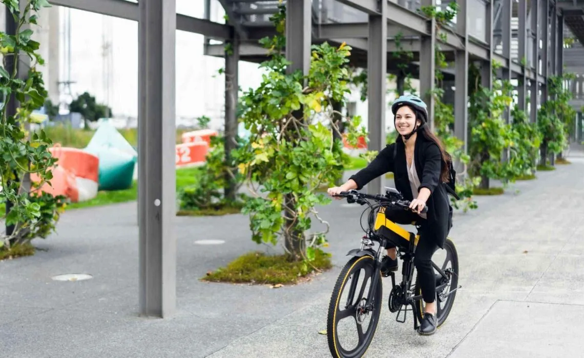 The World Of E-Bikes