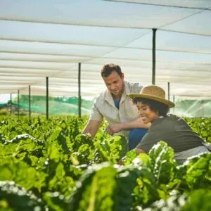 Greenhouse Farming