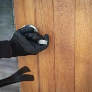 Impact Of Property Crimes