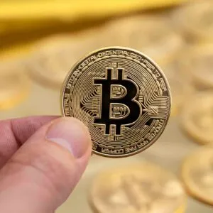 Digital Asset Recovery Strategies