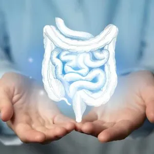 Impact Of Gut Health