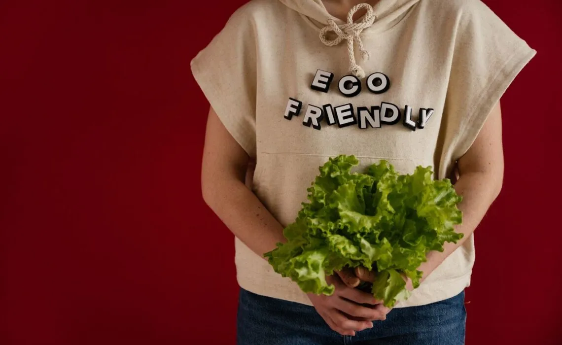 Sustainable Fashion